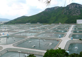河南水產養殖管理系統